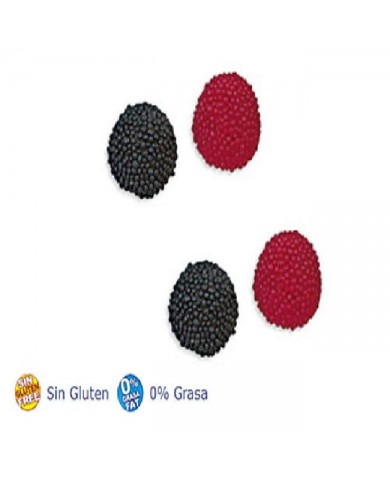 MORAS DE 250 UNIDADES FINI